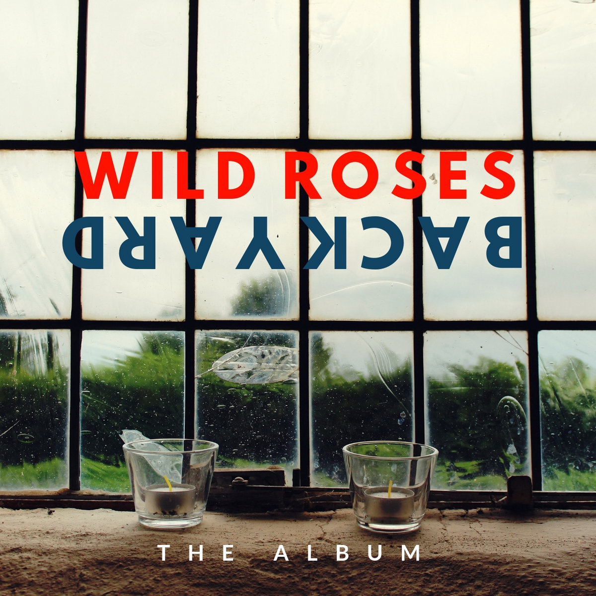wild_roses_visuel_copy.jpg